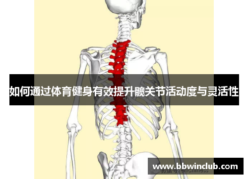 如何通过体育健身有效提升髋关节活动度与灵活性