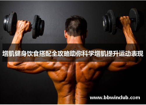 增肌健身饮食搭配全攻略助你科学增肌提升运动表现